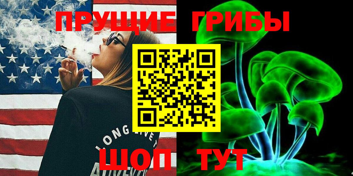 Псилоцибиновые грибы GOLDEN TEACHER Светлоград